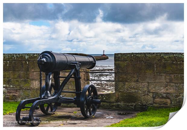 Ancient Cannon Overlooking Berwick Print by Michael Birch