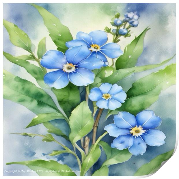 Blue Forget-Me- Not  Print by Zap Photos
