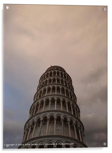 Pisa Tower Cityscape Acrylic by Elena Sofia Janata