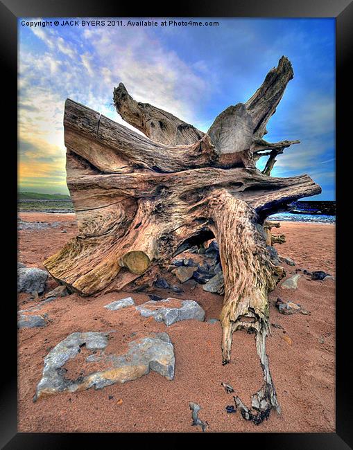 Driftwood Framed Print by Jack Byers