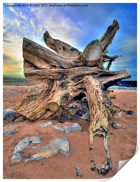 Driftwood Print by Jack Byers