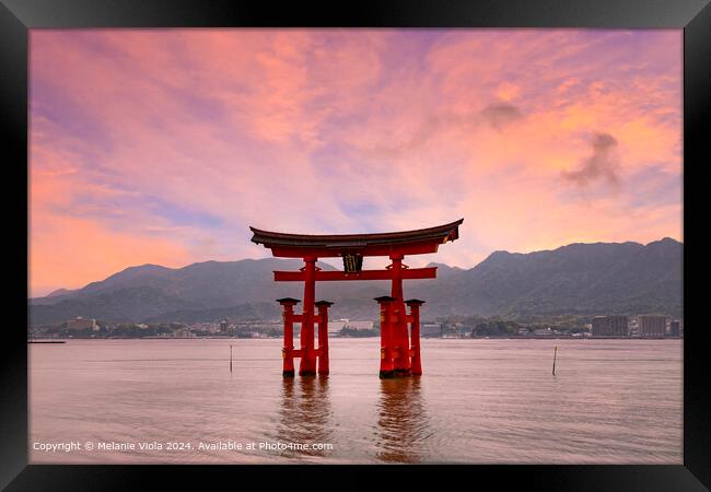 Floating Torii Gate Sunset Framed Print by Melanie Viola