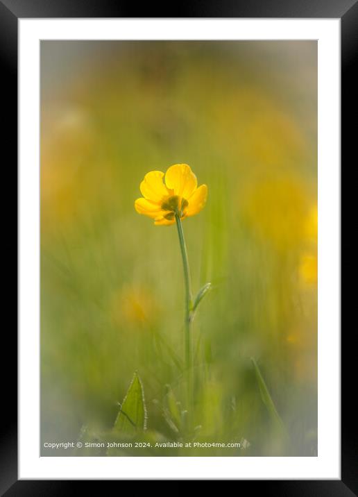 Yellow Wildflower Landscape Framed Mounted Print by Simon Johnson