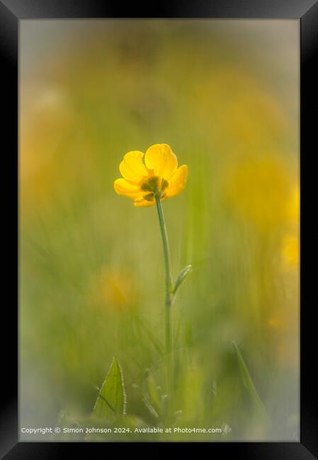 Yellow Wildflower Landscape Framed Print by Simon Johnson