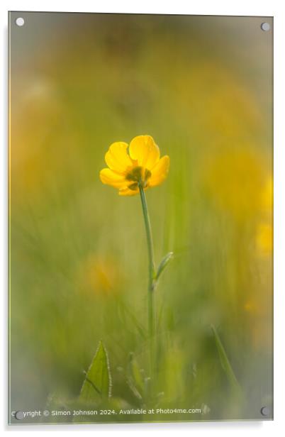 Yellow Wildflower Landscape Acrylic by Simon Johnson