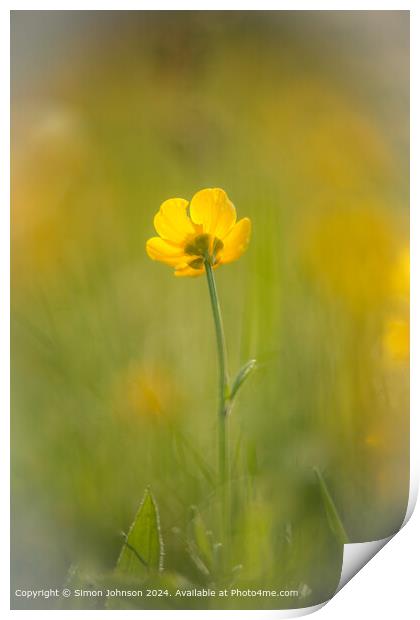 Yellow Wildflower Landscape Print by Simon Johnson