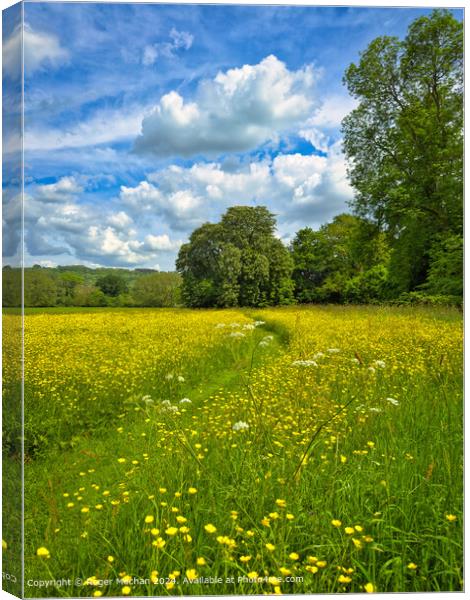 A green path through the English countryside Canvas Print by Roger Mechan