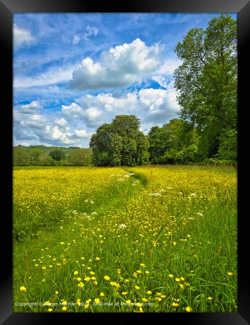 A green path through the English countryside Framed Print by Roger Mechan