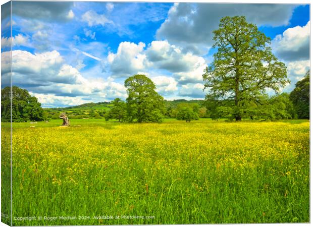 Celandines, majestic oaks and fluffy clouds Canvas Print by Roger Mechan