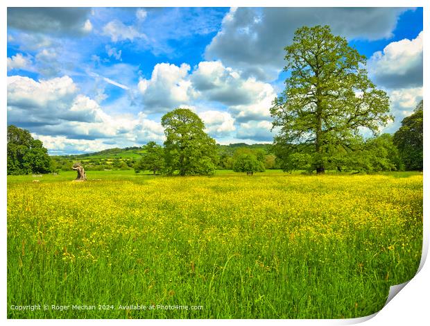 Celandines, majestic oaks and fluffy clouds Print by Roger Mechan