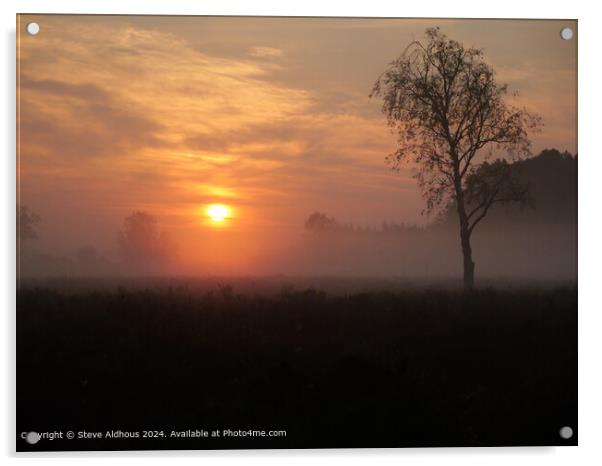 New Forest heathland sunrise  Acrylic by Steve Aldhous