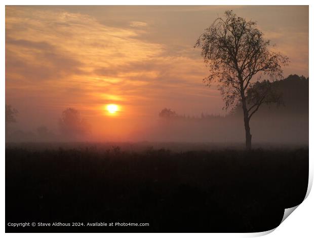 New Forest heathland sunrise  Print by Steve Aldhous
