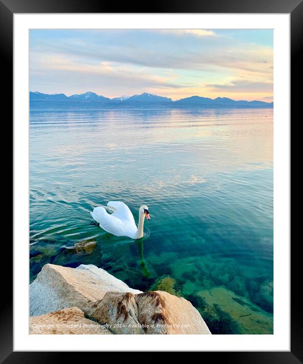 Sunset on the Leman lake Framed Mounted Print by Gaspard Photography