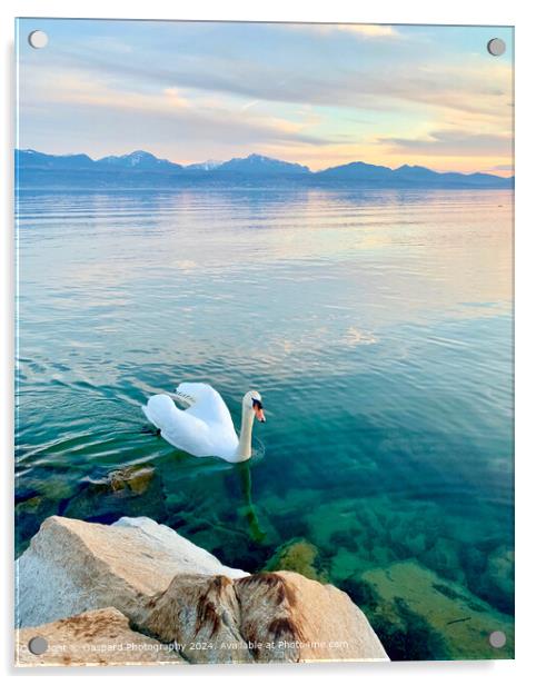 Sunset on the Leman lake Acrylic by Gaspard Photography