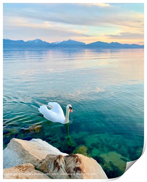 Sunset on the Leman lake Print by Gaspard Photography