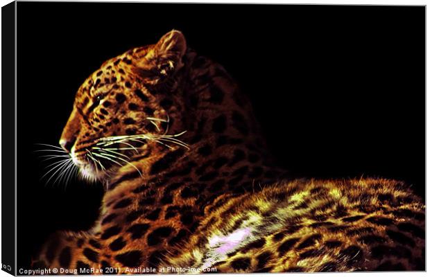 Amur leopard Canvas Print by Doug McRae