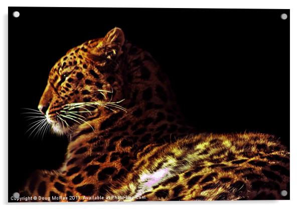 Amur leopard Acrylic by Doug McRae