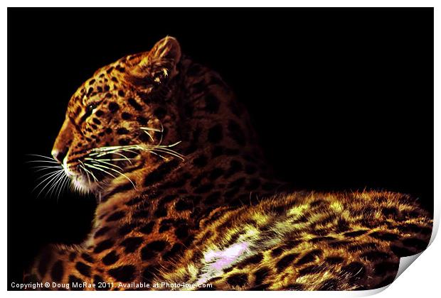 Amur leopard Print by Doug McRae