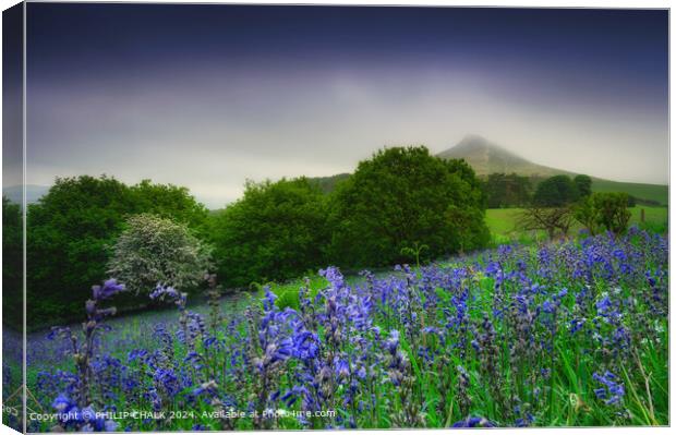 Roseberry Topping Bluebell Landscape 1089 Canvas Print by PHILIP CHALK