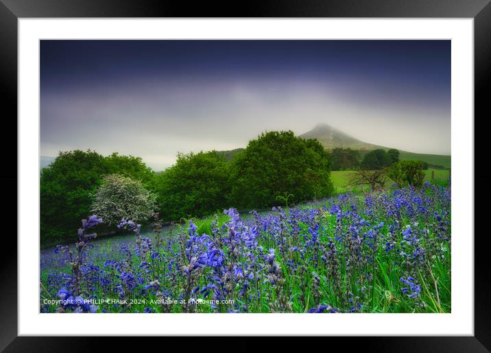 Roseberry Topping Bluebell Landscape 1089 Framed Mounted Print by PHILIP CHALK