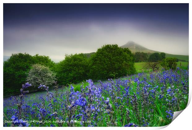 Roseberry Topping Bluebell Landscape 1089 Print by PHILIP CHALK