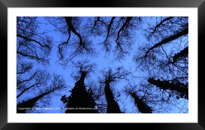 Curious trees  Framed Mounted Print by Steve Aldhous