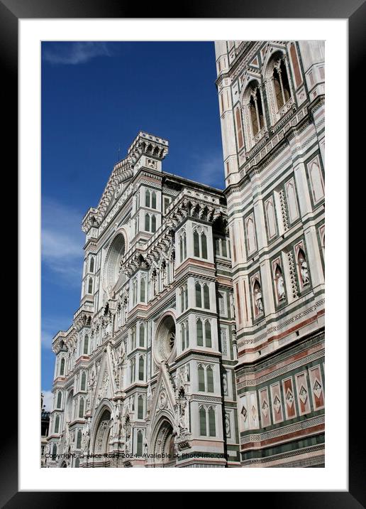 Florence Italy Duomo  Framed Mounted Print by Alice Rose Lenton
