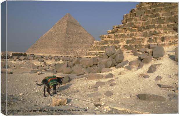 Great Pyramid Mule Stones Canvas Print by Peter Bolton