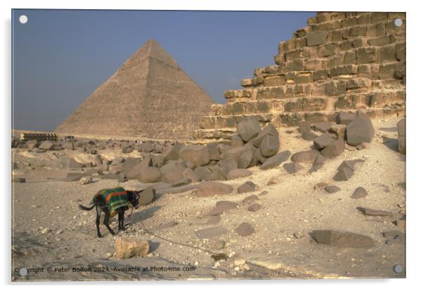 Great Pyramid Mule Stones Acrylic by Peter Bolton