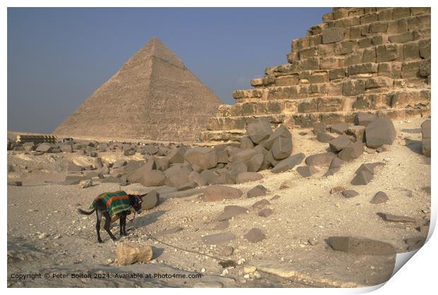 Great Pyramid Mule Stones Print by Peter Bolton