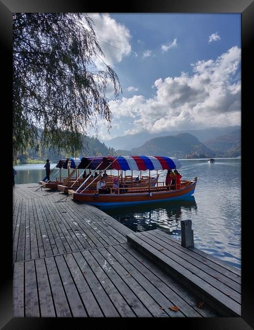 Bled Island Boats Framed Print by Vesna Sipec