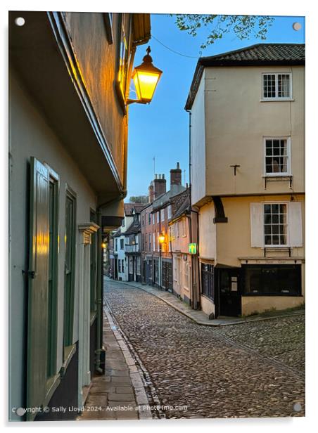 Elm Hill Norwich Cityscape Acrylic by Sally Lloyd