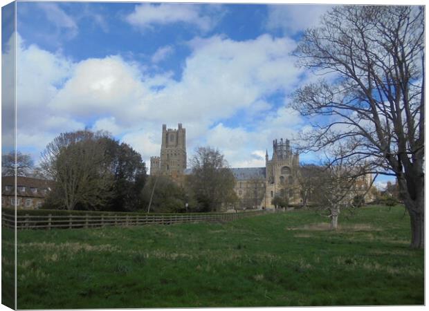 Ely Cathedral Landscape View Canvas Print by Simon Hill