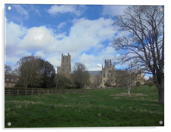 Ely Cathedral Landscape View Acrylic by Simon Hill