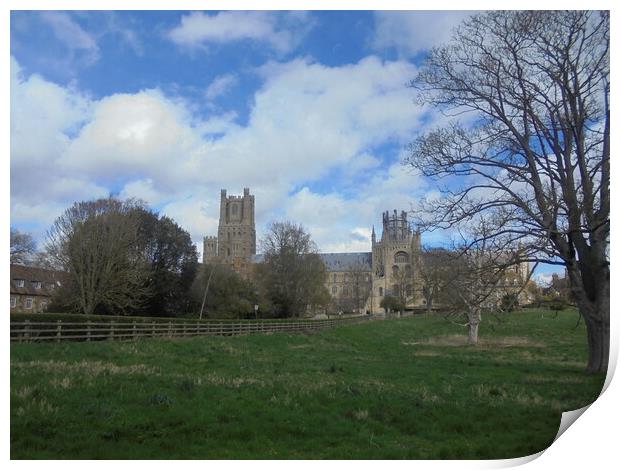 Ely Cathedral Landscape View Print by Simon Hill
