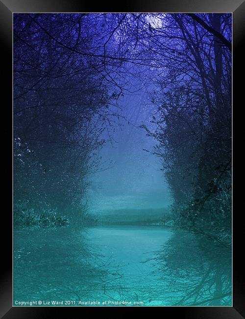 Mystic Forest Pool Framed Print by Liz Ward