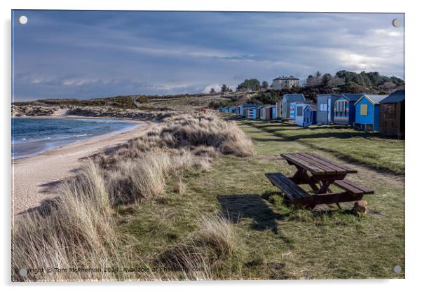 Colourful Beach Huts, Hopeman, Scotland Acrylic by Tom McPherson