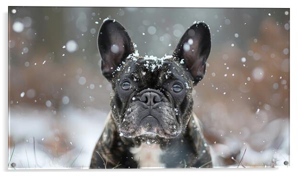 French Bulldog Snow Acrylic by K9 Art