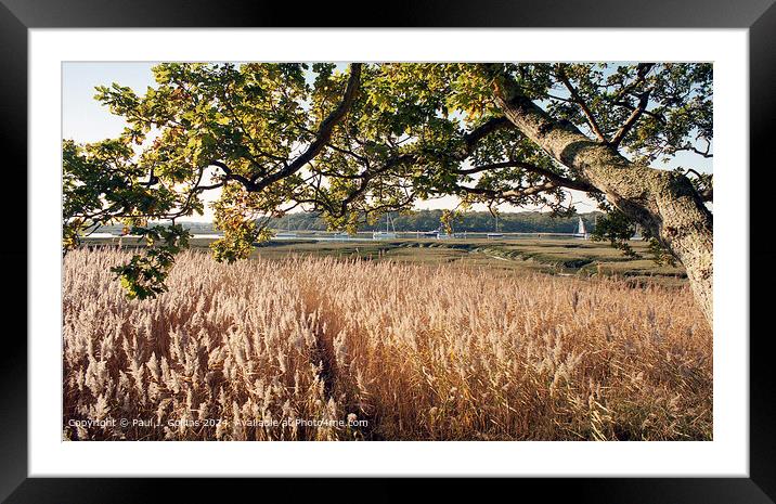 River View in Autumn Framed Mounted Print by Paul J. Collins