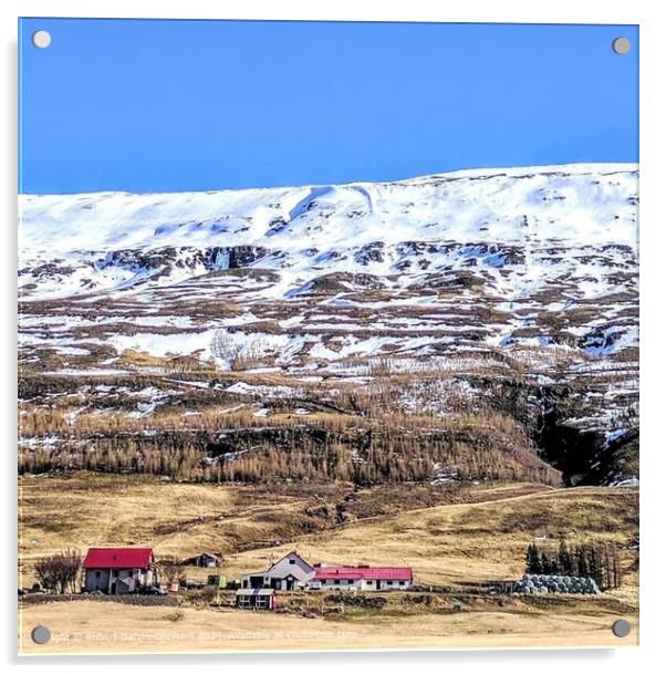 Iceland Farm Snowy Mountains Acrylic by Robert Galvin-Oliphant
