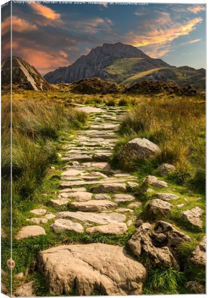 Tryfan Mountain Sunset Landscape Canvas Print by Adrian Evans