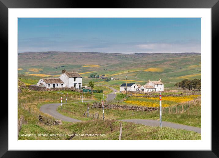 Spring Meadows in Harwood, Teesdale Framed Mounted Print by Richard Laidler