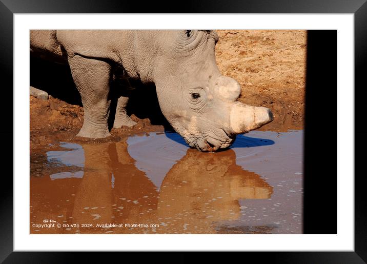 Aquila Game Reserve Rhinoceros Encounter Framed Mounted Print by Gö Vān