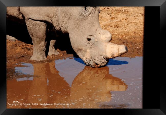 Aquila Game Reserve Rhinoceros Encounter Framed Print by Gö Vān