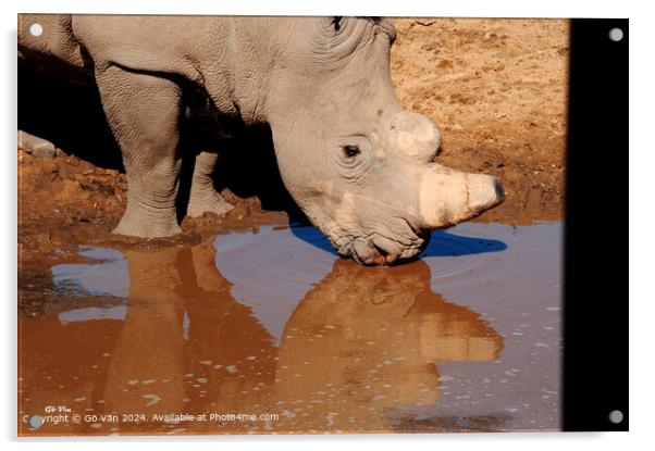 Aquila Game Reserve Rhinoceros Encounter Acrylic by Gö Vān