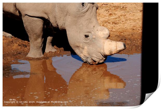 Aquila Game Reserve Rhinoceros Encounter Print by Gö Vān
