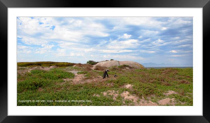Boulders Beach South Africa Landscape Framed Mounted Print by Gö Vān