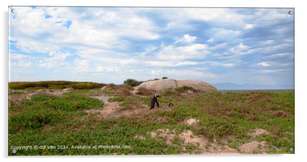 Boulders Beach South Africa Landscape Acrylic by Gö Vān