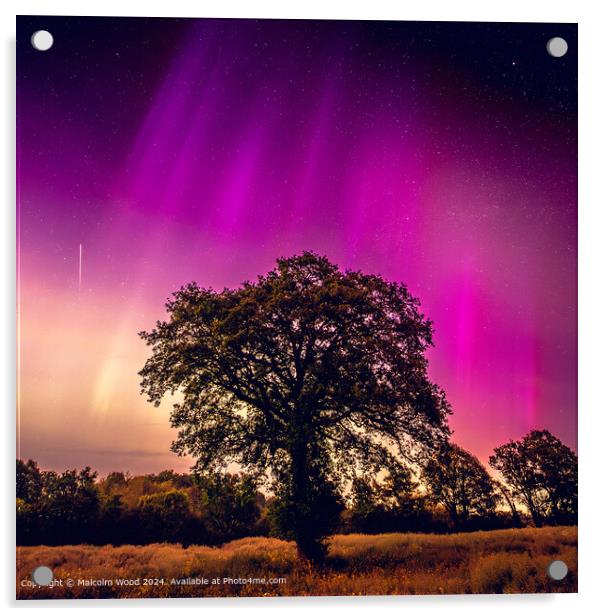 Aurora Over Tree With Meteor Acrylic by Malcolm Wood