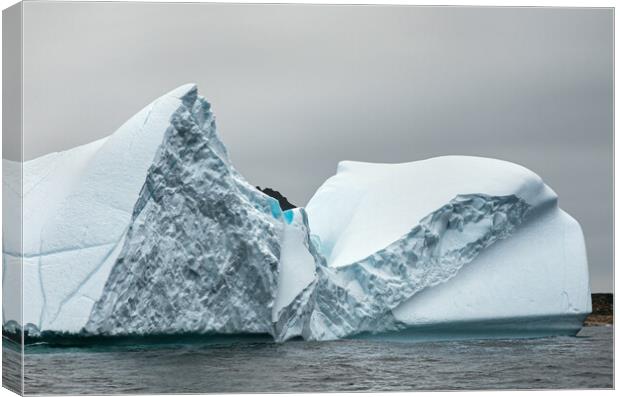 Amazing texture and pattern in an iceberg  Canvas Print by Ian Duffield